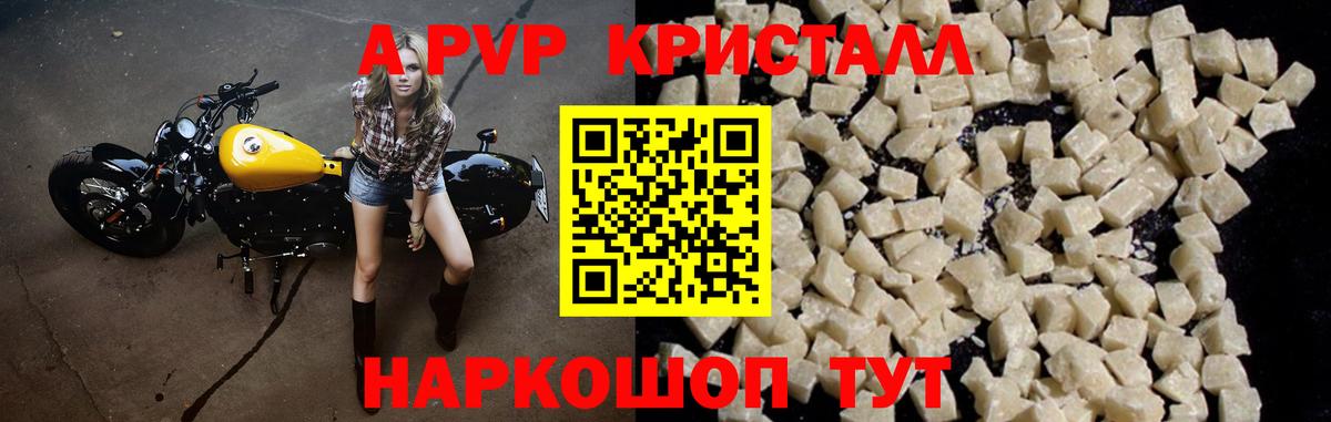 Альфа ПВП СК Чита