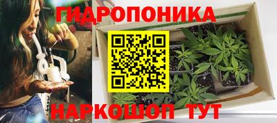 mdpv Будённовск